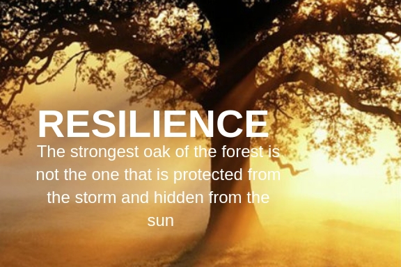 Resilience Blog